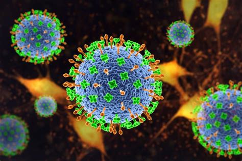 Nipah virus vaccine enters Phase I trial - European Pharmaceutical Review