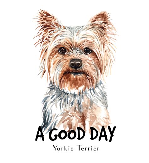 Watercolor portrait of a Yorkie Terrier dog 670027 Vector Art at Vecteezy