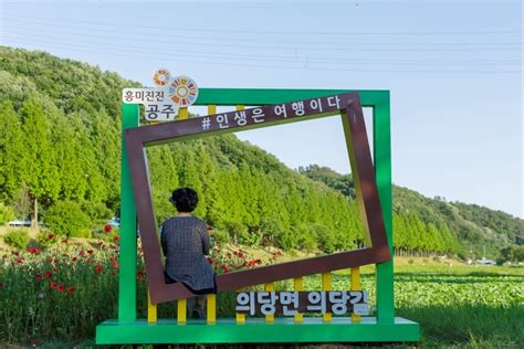 대전 근교 공주 가볼 만한 곳 정안천 생태공원 메타세쿼이아 길 미르섬 여행 네이버 블로그