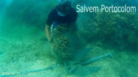 Salvem Portocolom Alerta En Un V Deo De Los Da Os A La Posidonia Por El