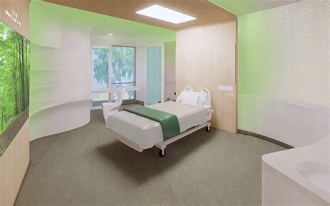 Future Inclusive Mental Health Inpatient Units Designing For Medical