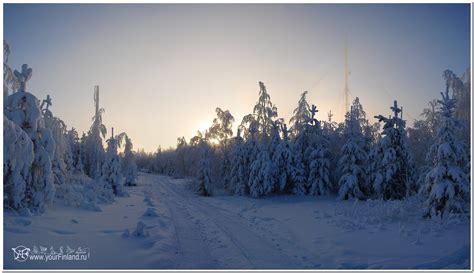 Классическая финская зима. Февраль. | yourfinland.ru
