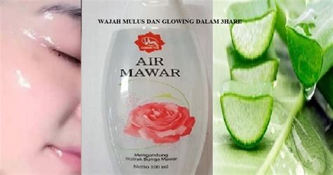 Dapatkan Wajah Mulus Dan Glowing Dalam Hari Hanya Menggunakan Air