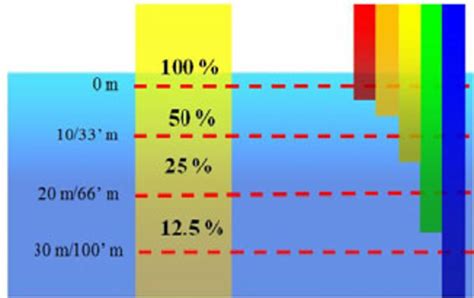 Penetration Of Light Of Various Wavelengths Through Water Blue Light