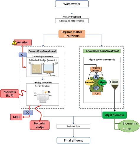 Combining Microalgae Based Wastewater Treatment With Biofuel And Bio