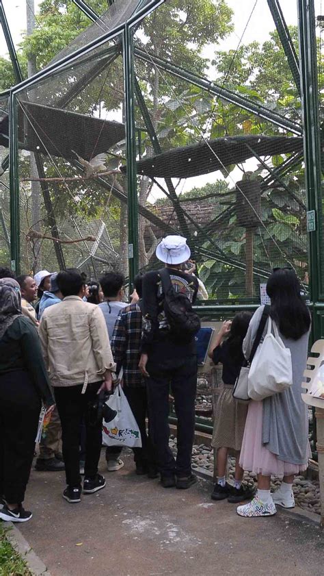 Foto Serunya Eduwisata Di Taman Burung Tmii Jagat Satwa Nusantara