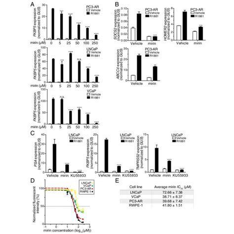 Mirin Inhibition Of Mre11 Reduces Androgen Stimulated Gene Expression Download Scientific