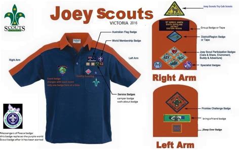 7 best All Scout Shirt Badge Placement images on Pinterest | Boy ...