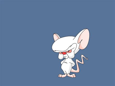 Pinky And The Brain Wallpaper And Background Image 1600x1200 Id192840