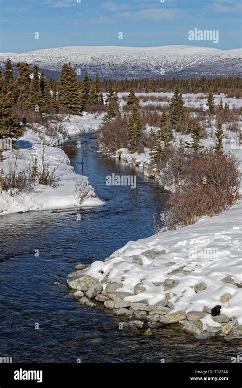 yukon landscape winter  res stock photography  images alamy