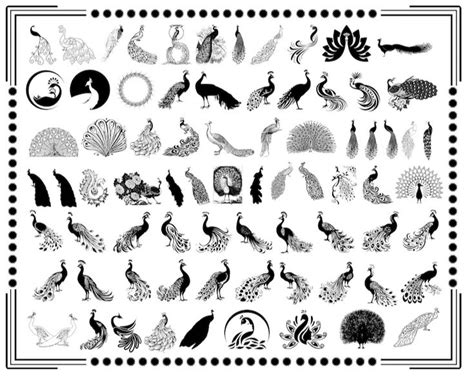 80 Peacock SVG Bundle Peacock Dxf Peacock Png Peacock Eps Etsy Canada