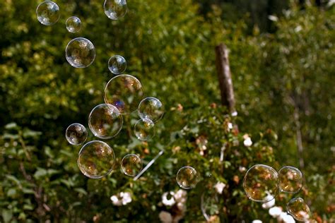 Soap Bubbles Floating Around In The Air Lots Of Soap Bubbl Flickr