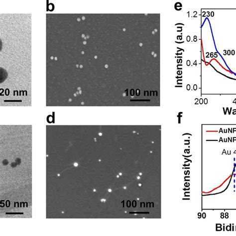 A Tem Image Of The Synthesized Aunps B Sem Image Of The Synthesized