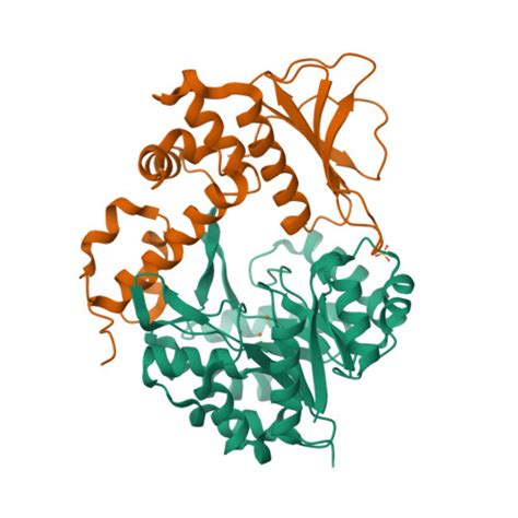 RCSB PDB 7TCU Methanobactin Biosynthetic Protein Complex Of MbnB And