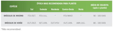 Como plantar brócolis de forma simples e mais lucrativa Safra Viva