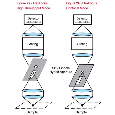 Guide To Raman Microscopy Bruker