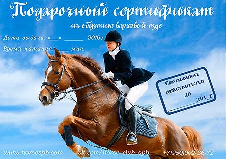 Подарочный сертификат на конную прогулку в Санкт-Петербурге | Катание ...