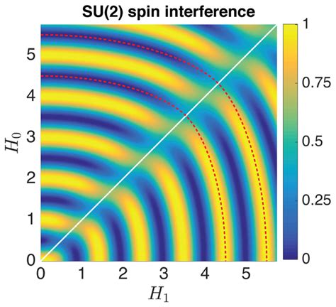 Topological Transition In The Spin Interference Pattern For Su2