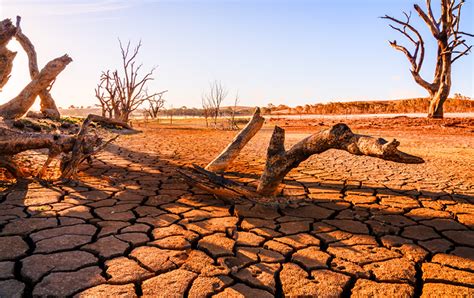 Tax Relief For Drought-Stricken Farmers – Babbage & Co