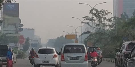 Kabut Asap Di Pekanbaru Masih Pekat Meski Sudah Diguyur Hujan Merdeka