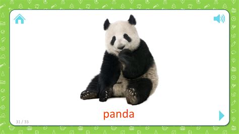 FlashCards For Kids: Panda - Wild Animals - Flashcards for Kids