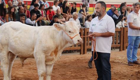 SALAMAQ 22 Estos han sido los premios del XXX Concurso Morfológico