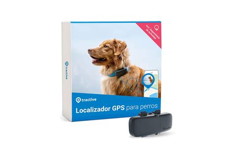 Un Localizador Gps Para El Collar La Soluci N Para Que Nuestra Mascota