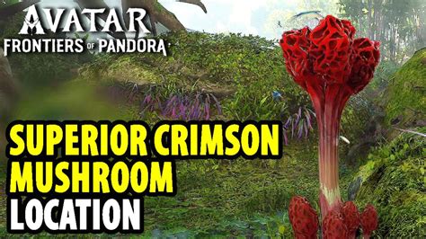 Superior Crimson Mushroom Reluns Fish Stew Avatar Frontiers Of