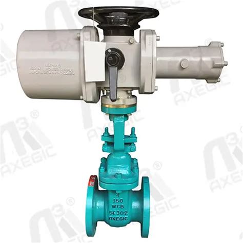 Gate Valve Manufacturer Axegic Group Inc