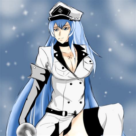 Esdeath Fanart - ibisPaint