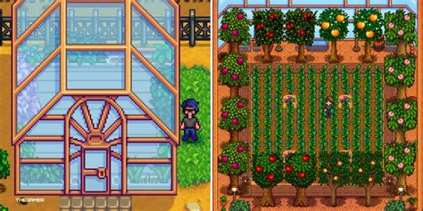 How To Get The Greenhouse In Stardew Valley