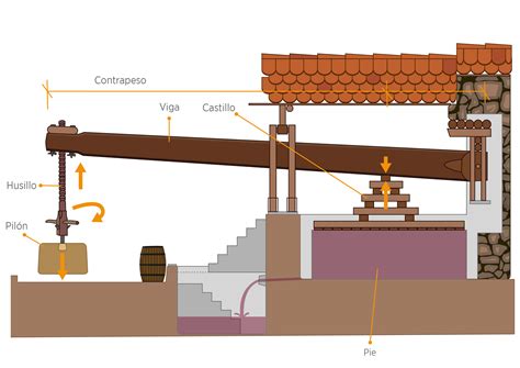 Esquema De Un Lagar Canal Del Rea De Tecnolog A Educativa