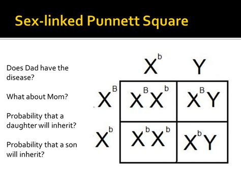 Chapter 14 Human Genetics Ppt Download