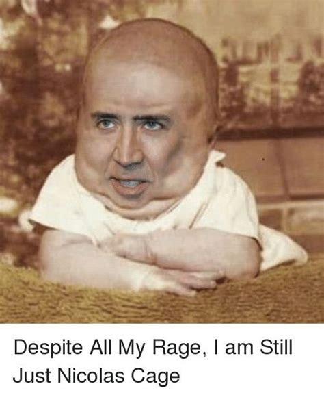 Pin by Kyle Ammon Johnson on Nicolas cage memes | Nicolas cage ...