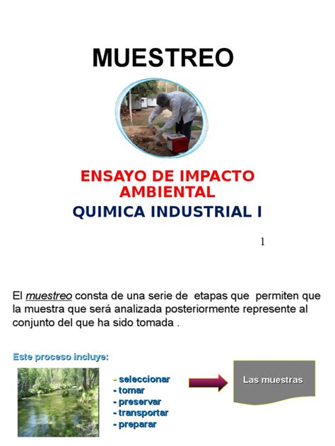 Pdf Muestreo De Productos Dokumen Tips