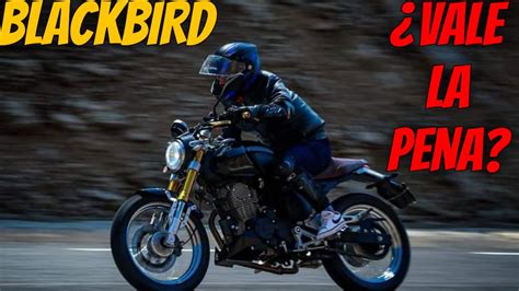 Italika Blackbird Rese A Honesta Con El Due O Vale La Pena Caferacer