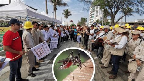 Veracruz Ocupa El Sexto Lugar Nacional En Casos Confirmados De Dengue