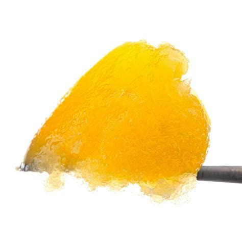 Papaya Oasis Live Resin Badder West Coast Cure