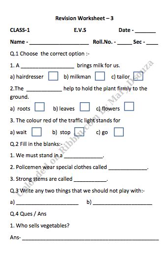 Cbse Class 1 Evs Revision Worksheet Set B NBKomputer