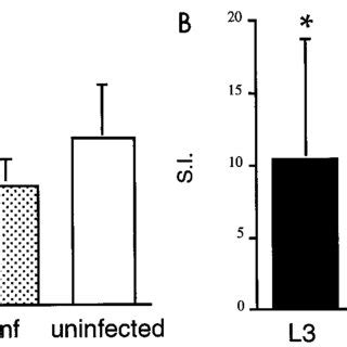 Proliferative Responses Of Spleen Cells From Three Groups Of Mice To