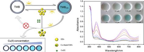 基于量子点光还原能力的用于 Cu II 可见光检测的新型比色传感器 Analytica Chimica Acta X MOL