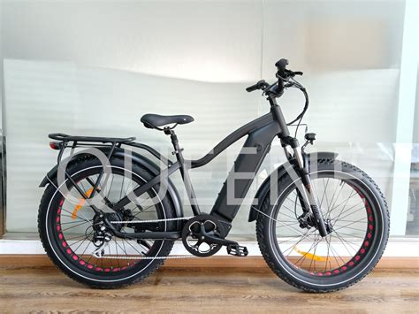 Queene Bafang Motor 1000w Powerful Hunting Ebike Battery Electric Bike