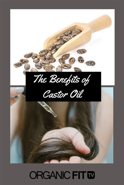 The Benefits Of Castor Oil Organicfit A Holistic Approach To Wellness Castor Oil Benefits