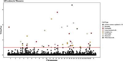 Frontiers The Genetic Architecture Of Complete Blood Counts In