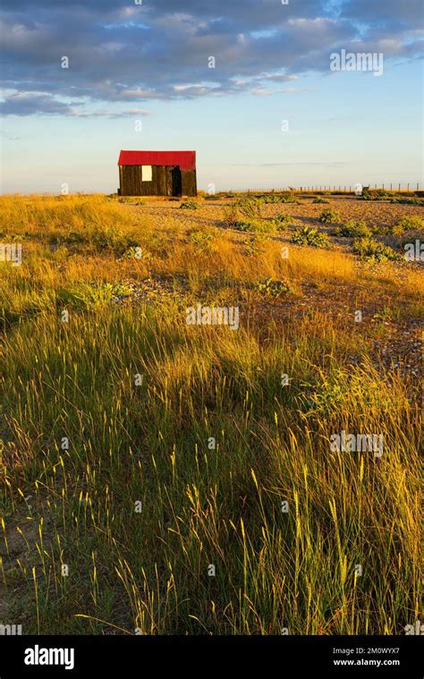 Rye Harbour Nature Reserve At Sunset Hut With Red Roof Red Roofed Hut