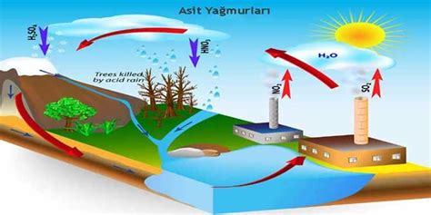 Asit Ya Murlar Na Neden Olan Gazlar Nelerdir Asit Ya Murlar Na Neden