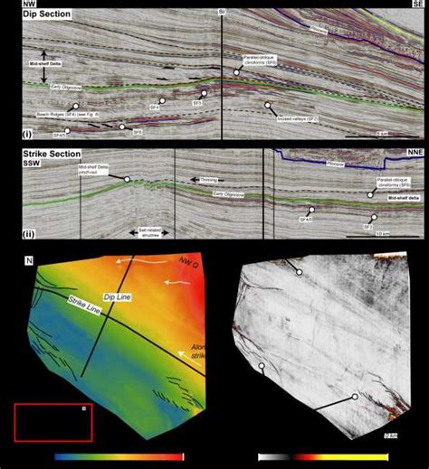 Northern Shelf I Dip Oriented Seismic Section Through The Northern Download Scientific