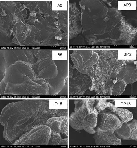 Morphology Of The Cells On Plga Porous Scaffolds Observed Under A Sem Download Scientific