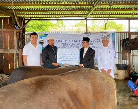 Idul Adha H Ybm Pln Up Nabire Tebar Berkah Daging Nabire Net