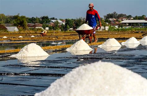 Upaya Garam Nasional Keluar Dari Kesulitan Produksi